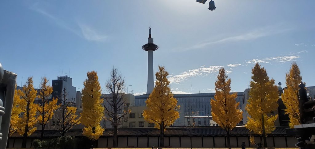 永代供養にはどんな種類がある？永代供養墓ごとの特徴をご紹介します